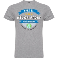 GRIS VIGORE