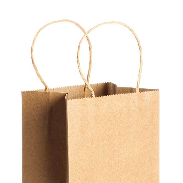 Bolsa Papel Stamina Pinus |Toleshop