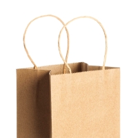 Bolsa Papel Stamina Pinus |Toleshop