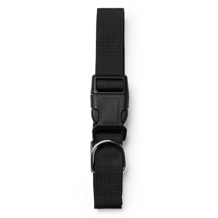 Collar Para Mascotas Stamina Korat | Toleshop