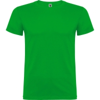 VERDE GRASS