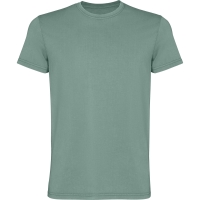 VERDE PATO LAVADO
