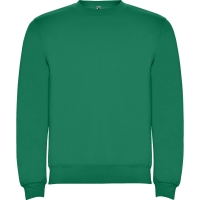 Sudadera Roly Clásica Infantil | Toleshop