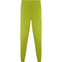 PISTACHO